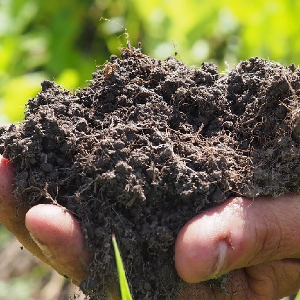 Join this soil health event…
