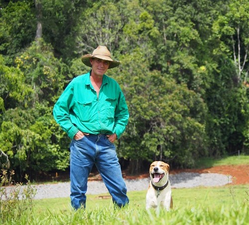 Rockwork and grasses to stop erosion on Innisfail farm