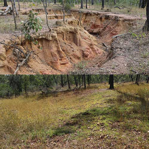 Gully complex reshaping - before and after