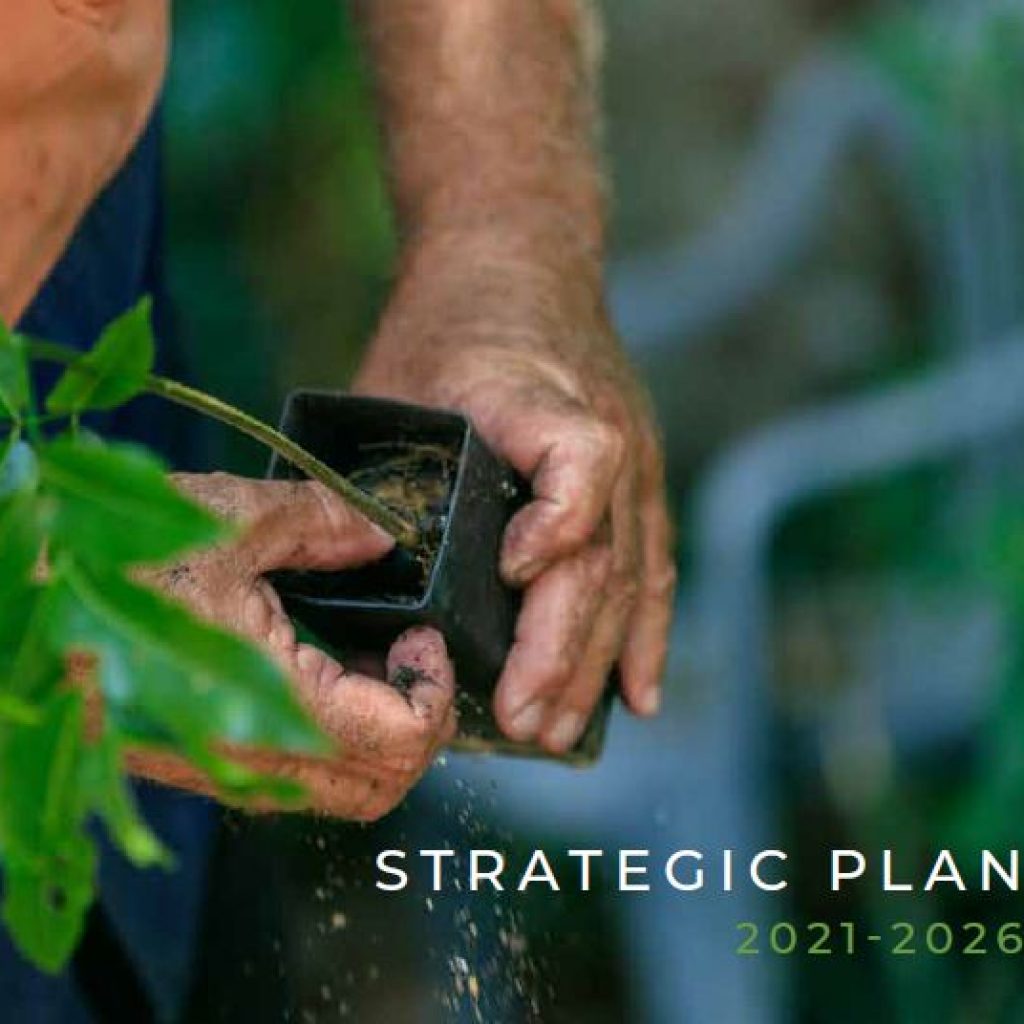 New Strategic Plan Launched 2021-26