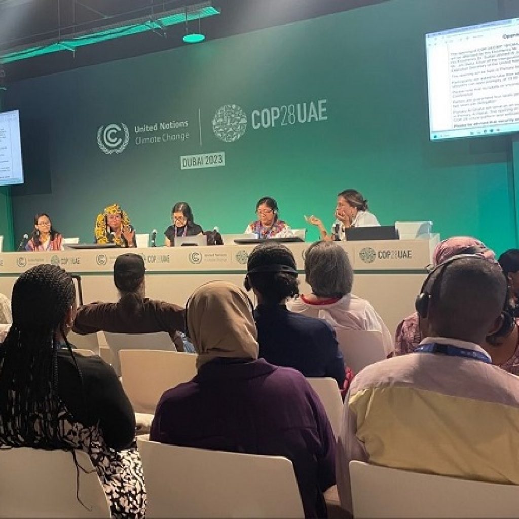 COP28: What we Learnt