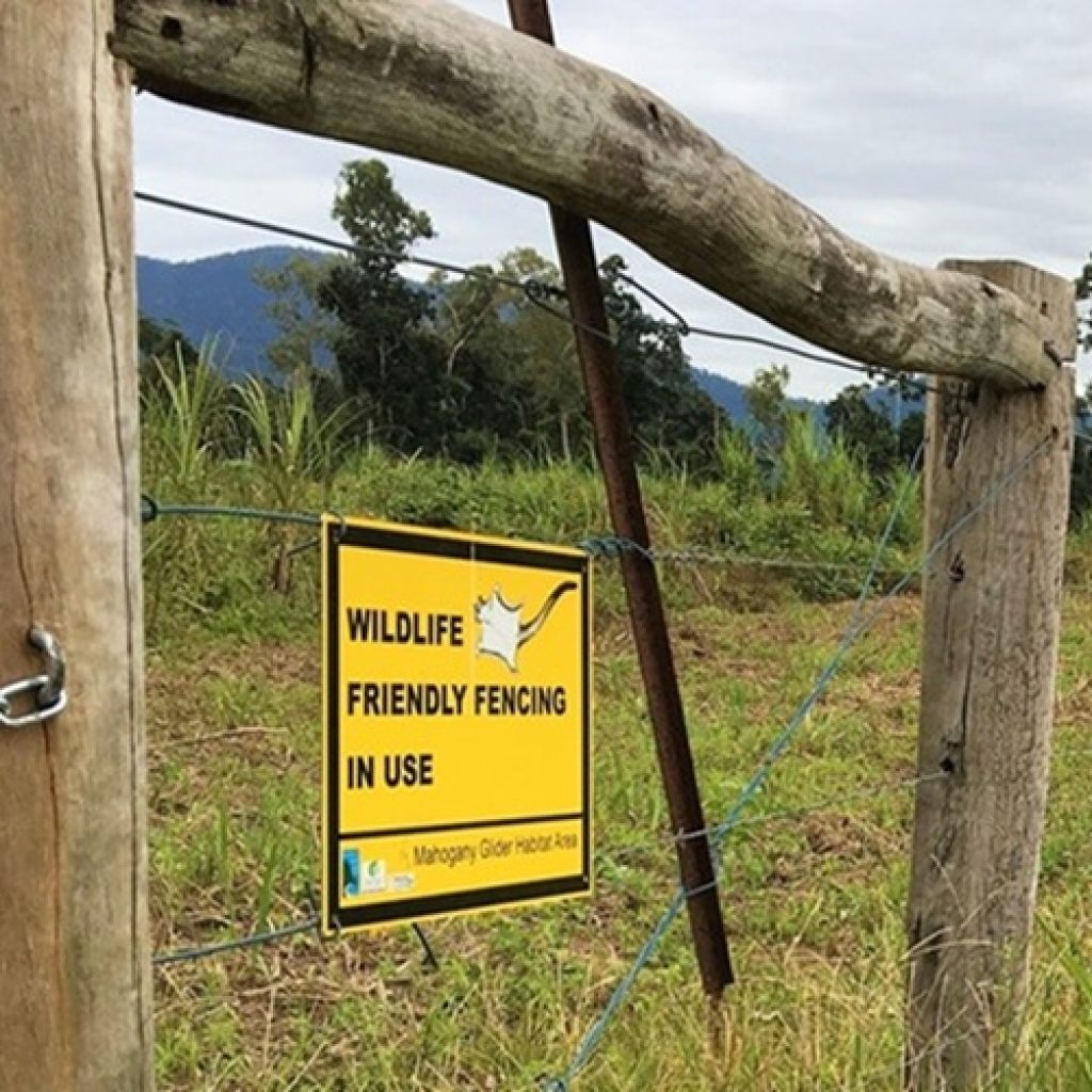 Wildlife friendly fencing