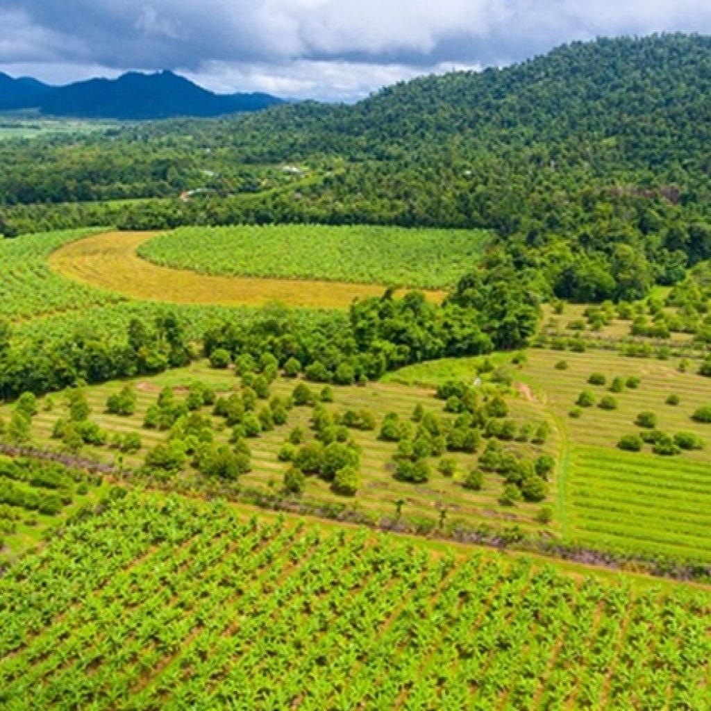 Climate Smart Funding for Wet Tropics farmers