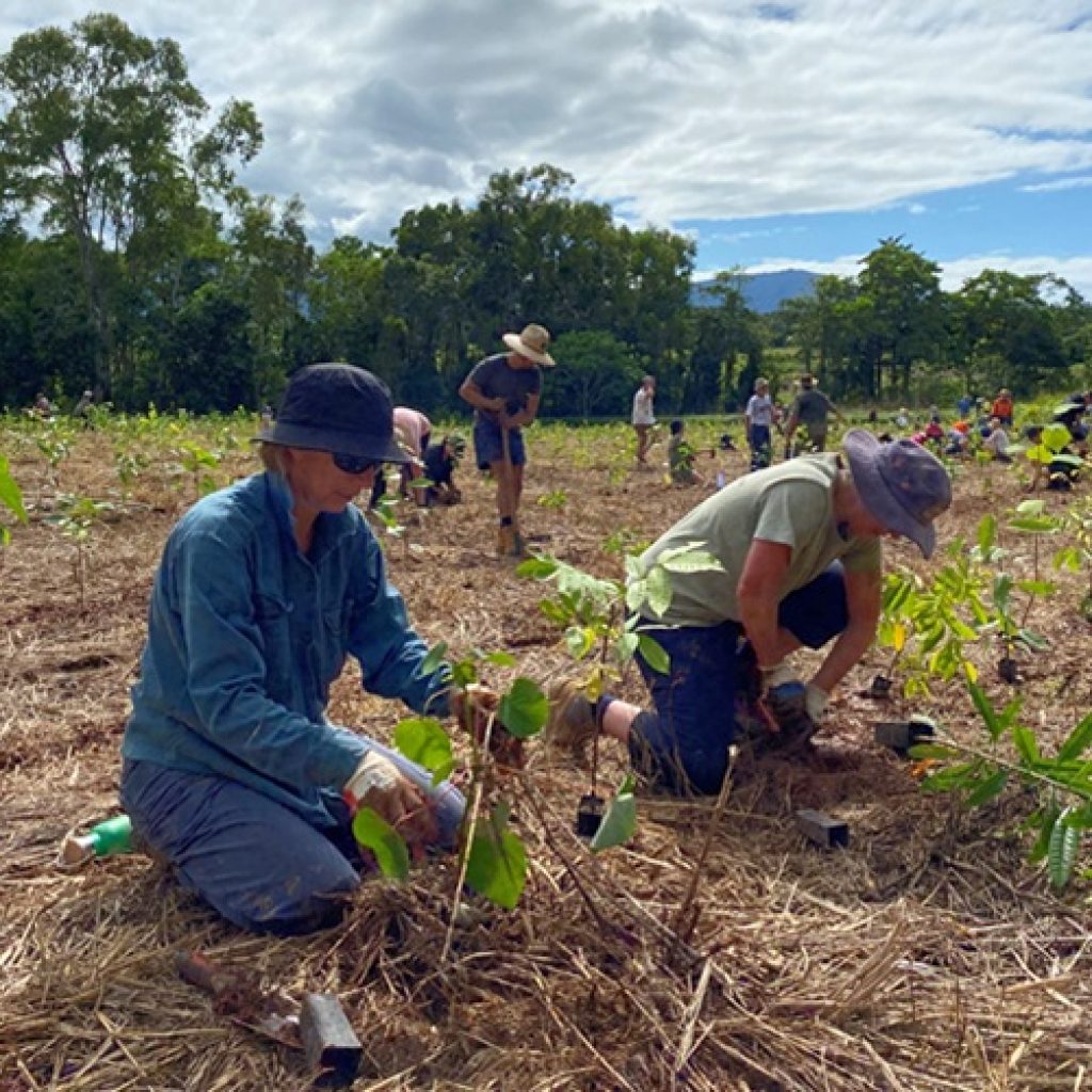 Green Connections Grants