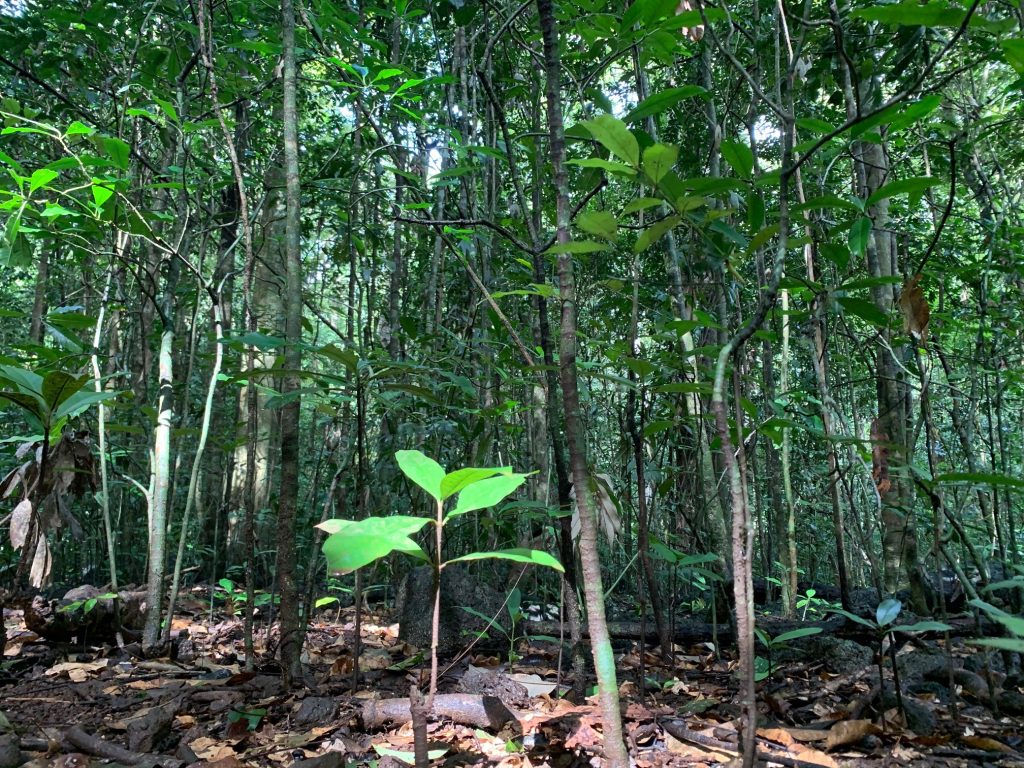 Climate Resilience for Biodiversity