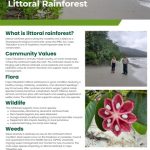 cape tribulation littoral rainforest