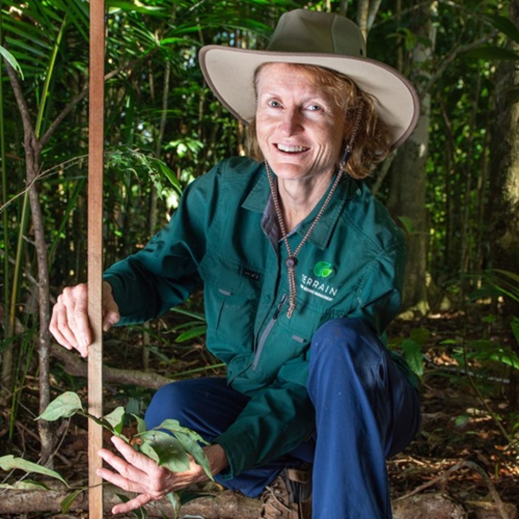 Environmental Markets