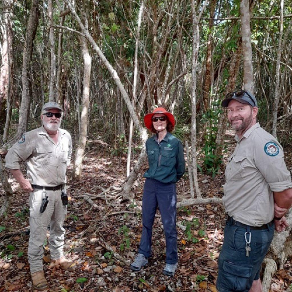 Protecting Forest at Kurrimine Beach
