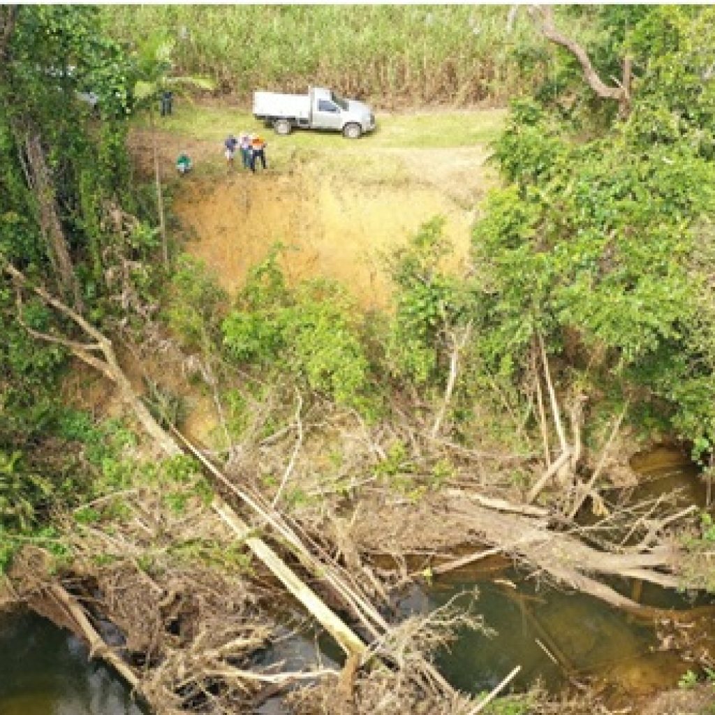 Bamboo Creek: Five Years On