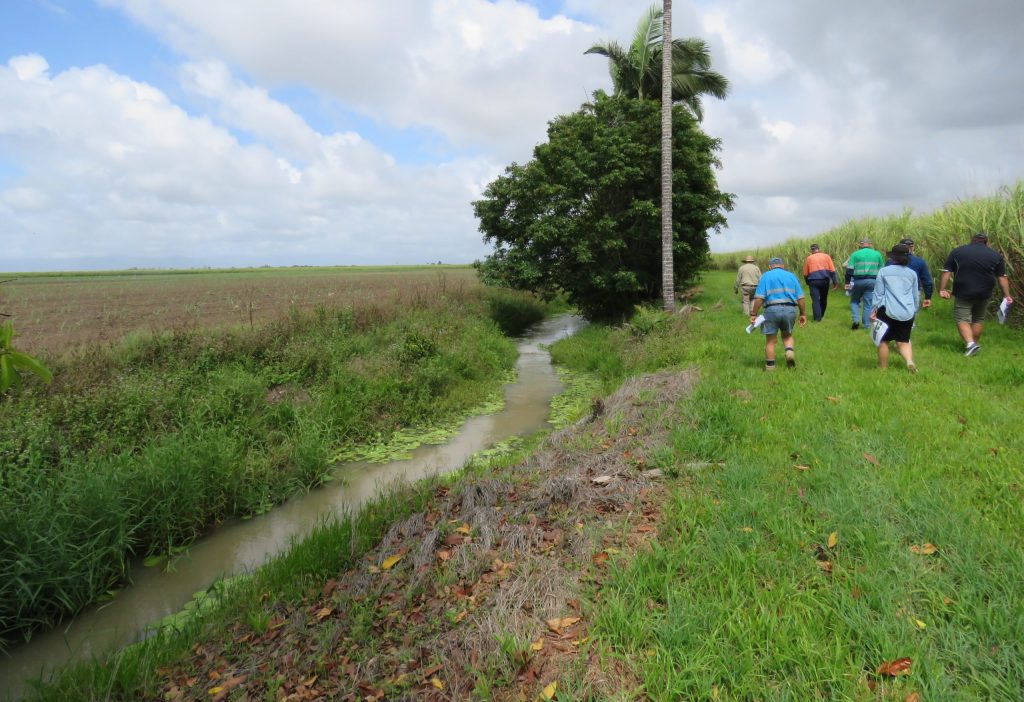 Vegetated farm drains improving water quality
