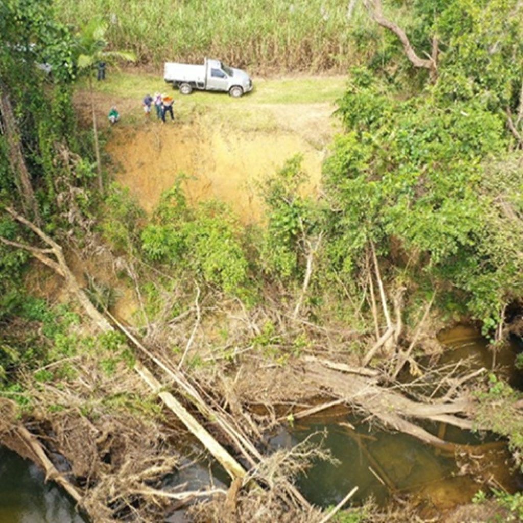 Bamboo Creek: Five Years On
